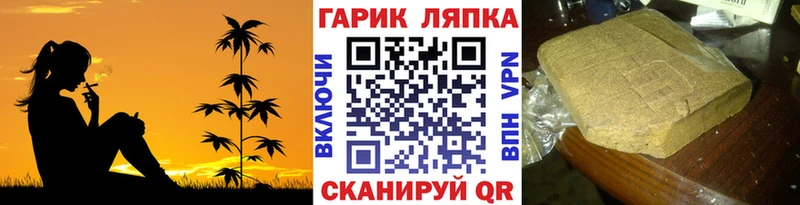 ГАШ Premium Новоаннинский