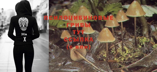 a pvp Армянск